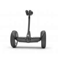 Гироскутер Segway Ninebot S Black (23.03.0000.11)